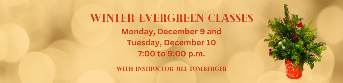 Winter Evergreen Programs